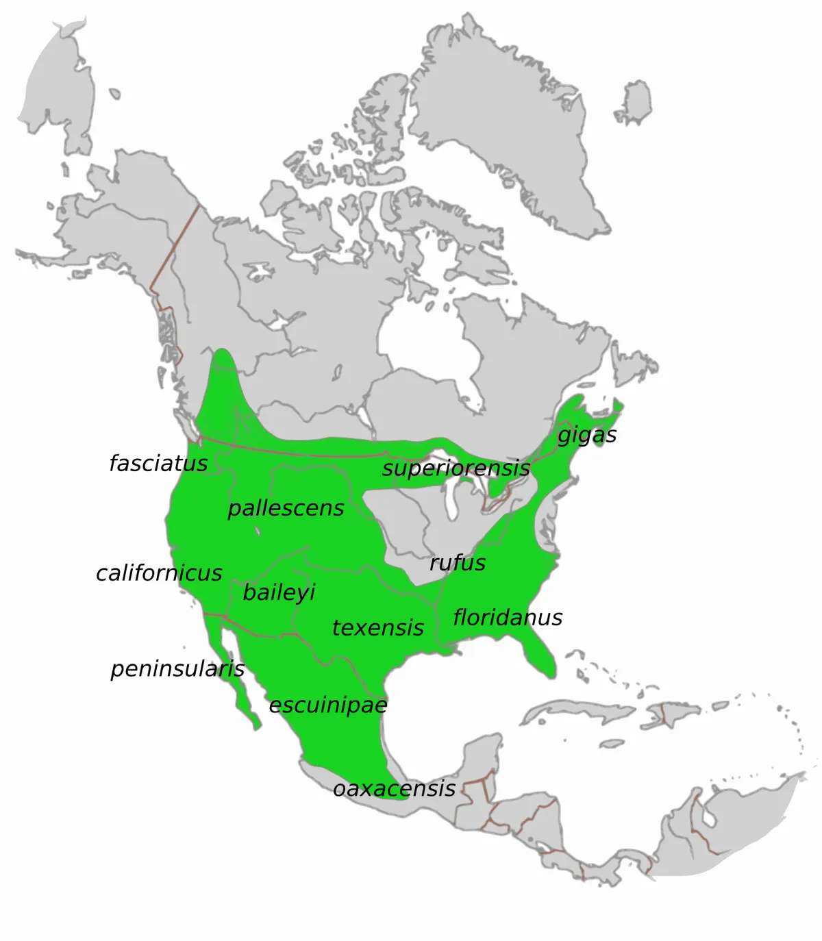 Map of bobcat subspecies ranges across North America
