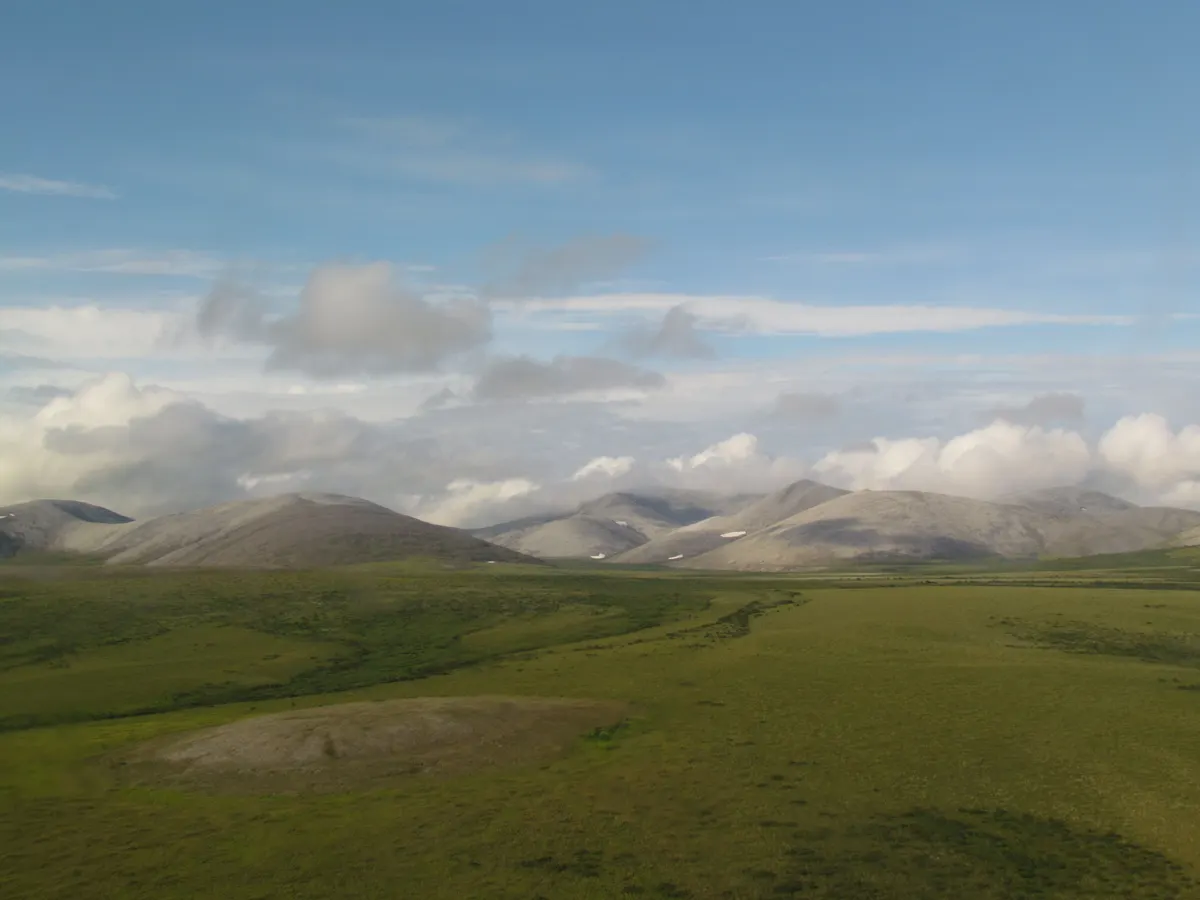 Green summer Arctic tundra rolling toward the Mulgrave Hills