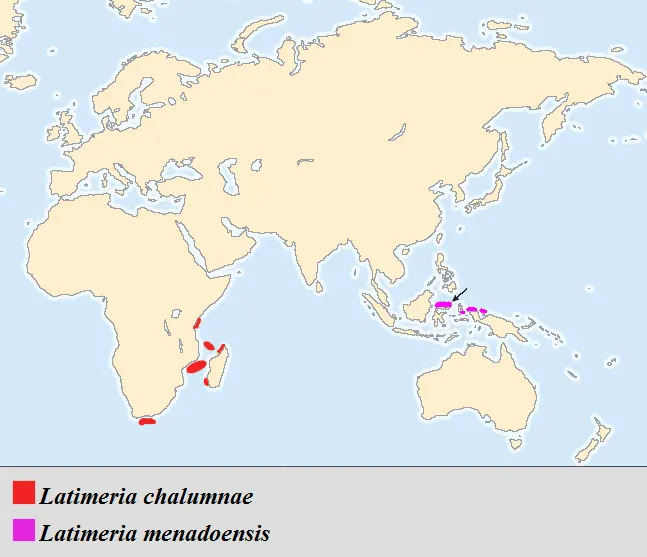 Geographic map showing the distribution of Coelacanth species in the Indian Ocean