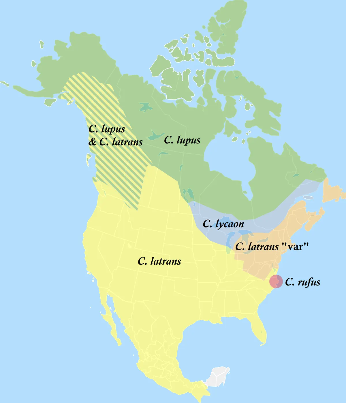 Map of modern North American Canis ranges including coyotes