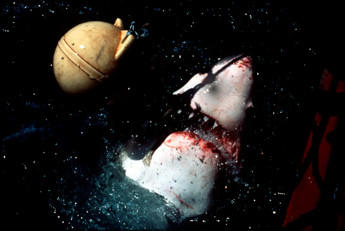 Great white shark turning near the surface during a hunt