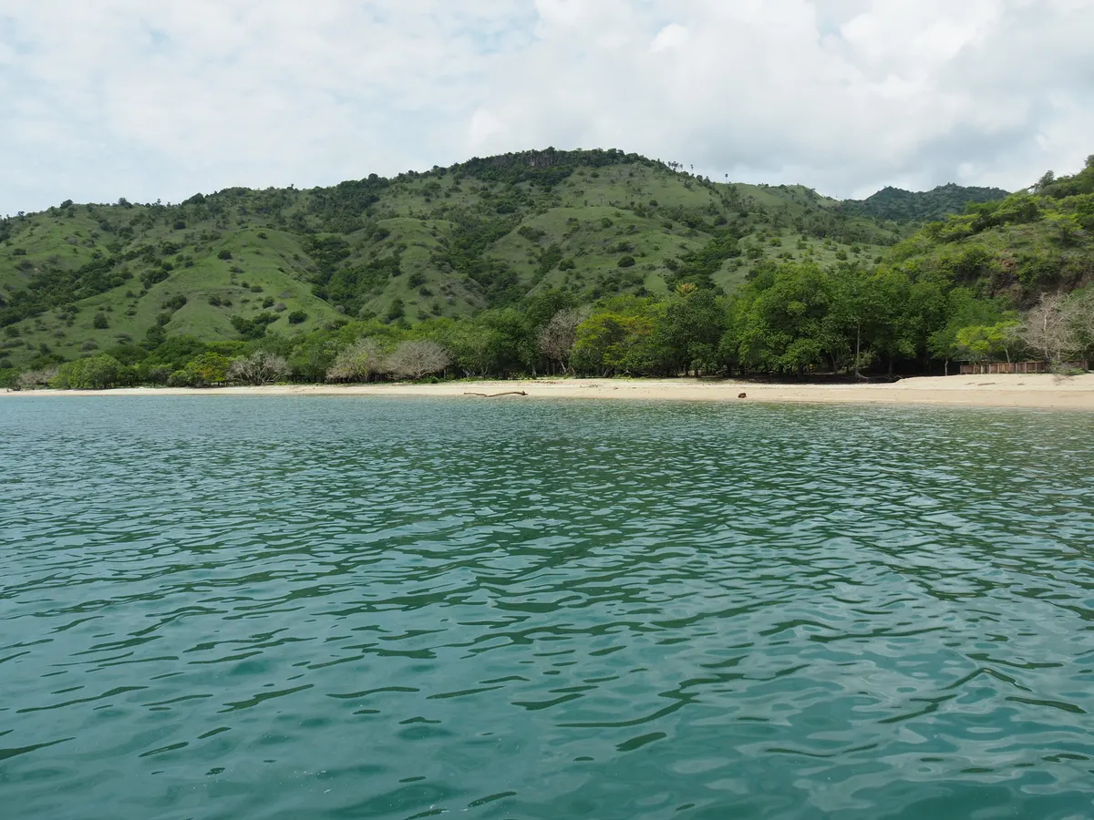 View of Komodo Island shoreline from the sea