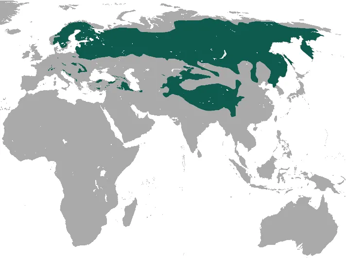 Map of Eurasian lynx historical and modern European range