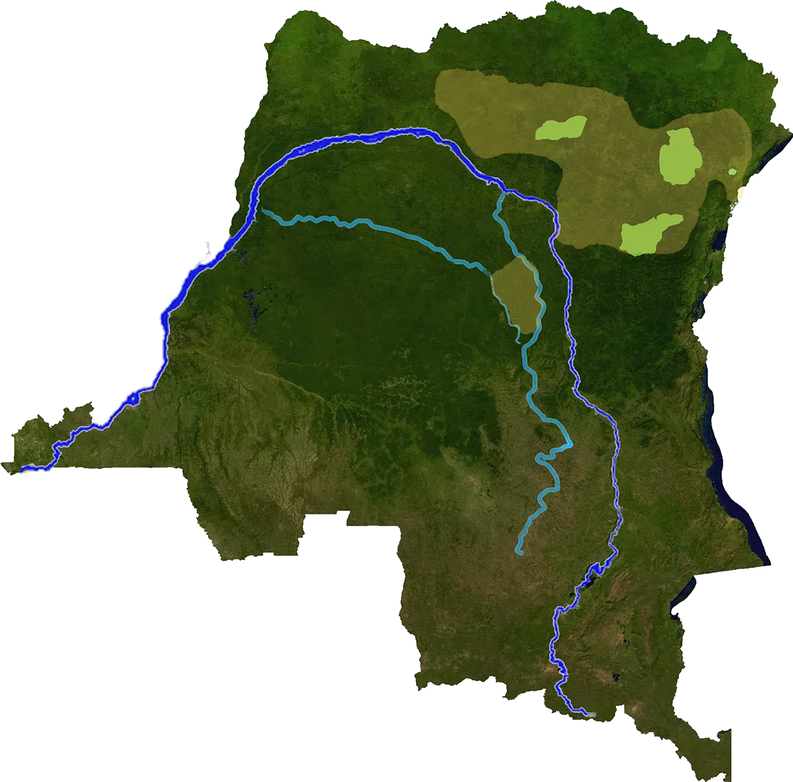 Map of okapi distribution in the Democratic Republic of the Congo