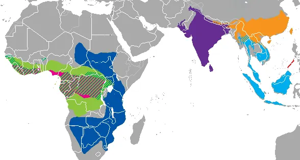 Global distribution map of pangolin species including the Sunda pangolin