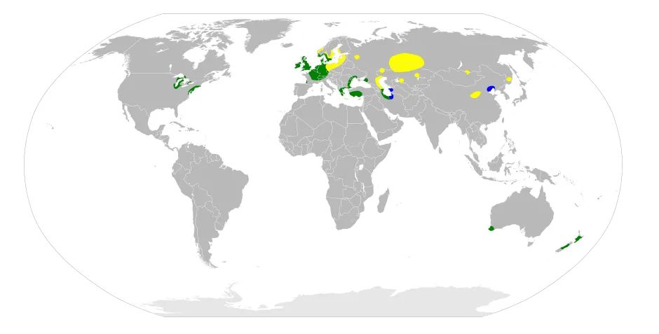 Map of the mute swan's resident, breeding, and wintering distribution
