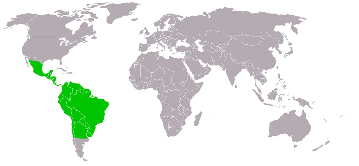 Alternate range map for the common vampire bat in the Americas